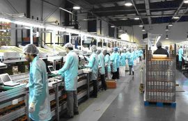 Producción Industrial