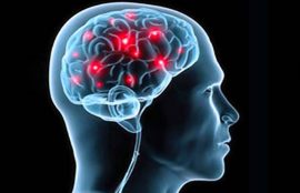 cerebro