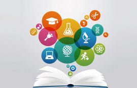 universidad investigacion docencia