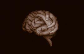 ciencia y ciudadanos - inteligencia colectiva