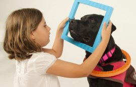 Terapia Asistida con Animales