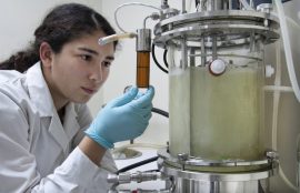 mujeres en ciencia